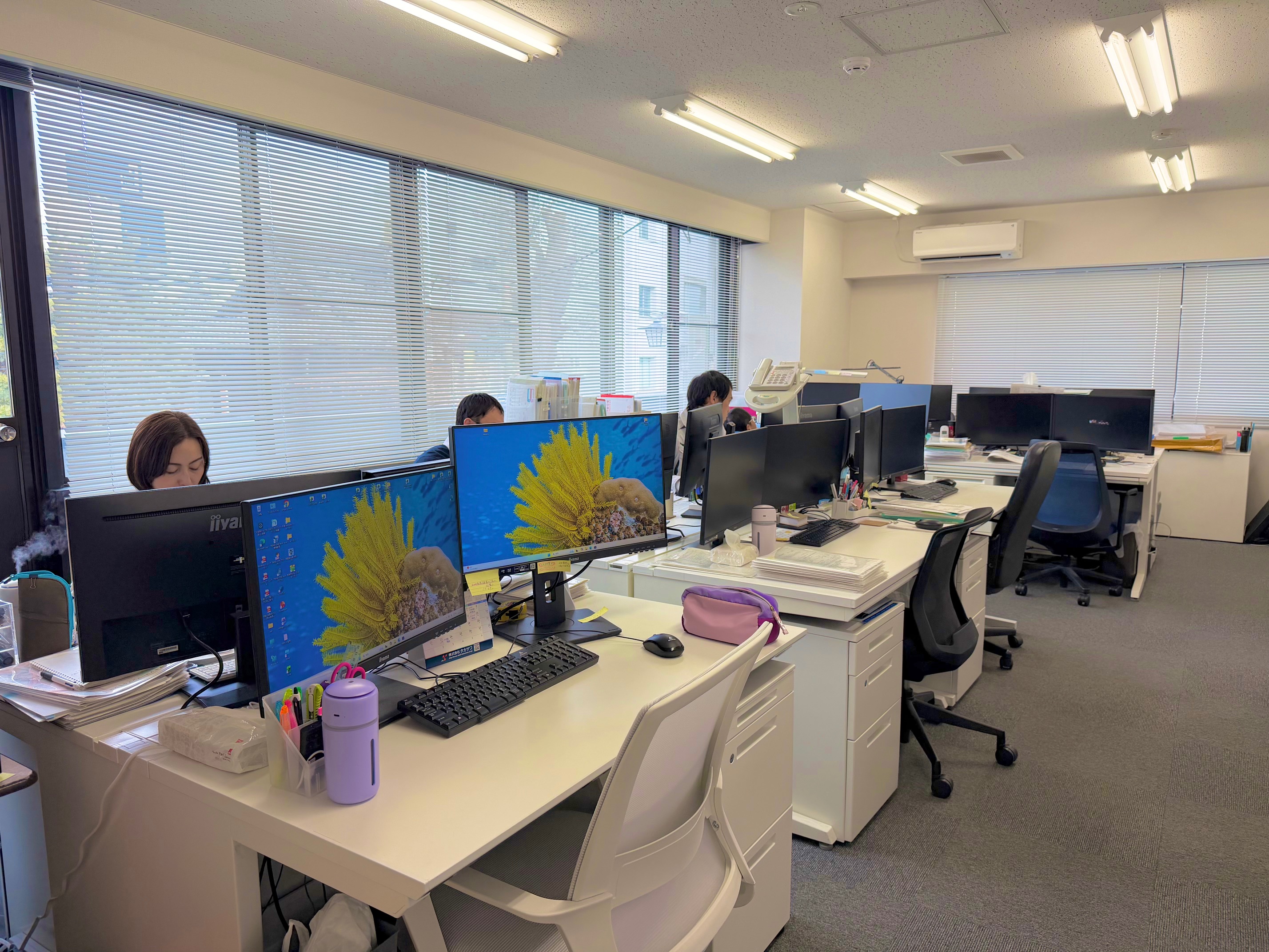 土地家屋調査士法人　双葉