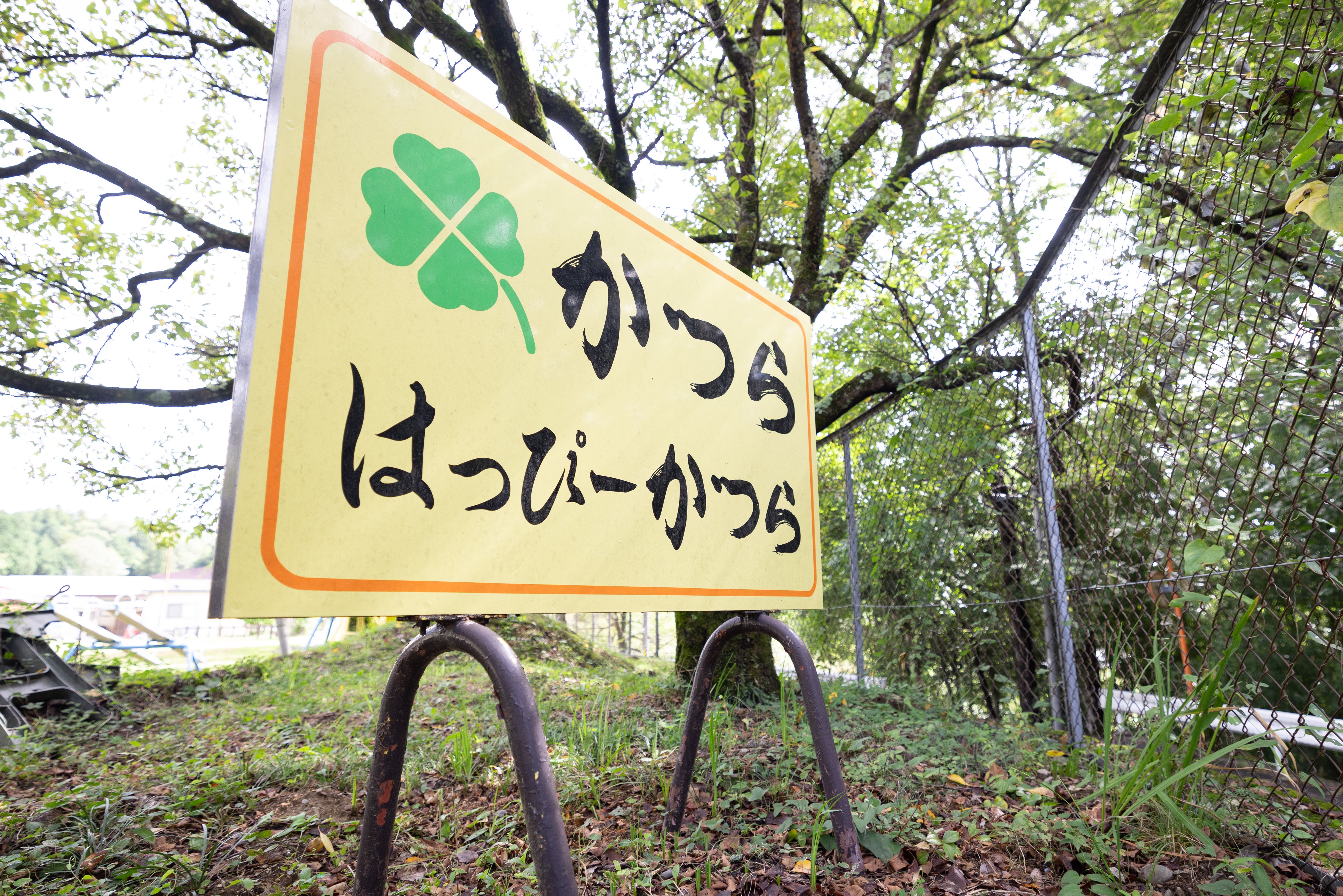 法人ロゴ