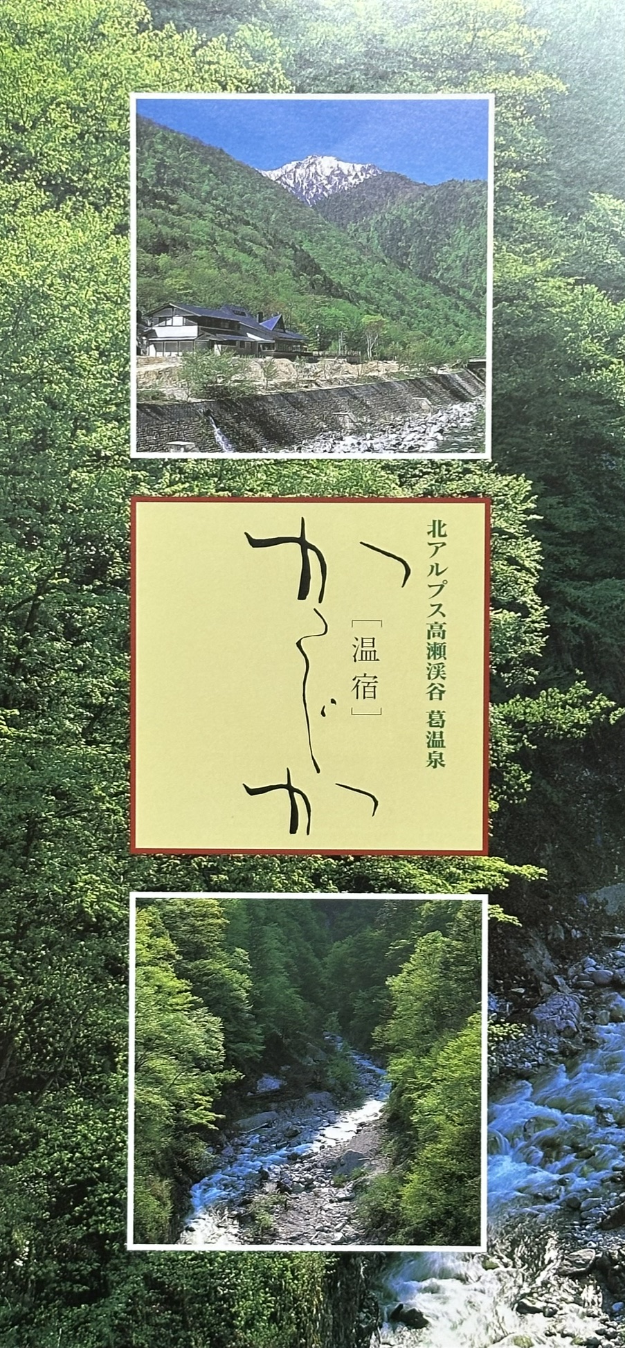 法人ロゴ