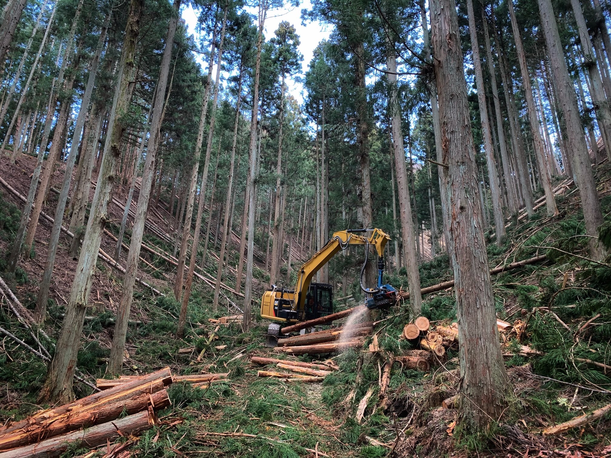 地域の森林を守り育てる、やりがいのある仕事です。