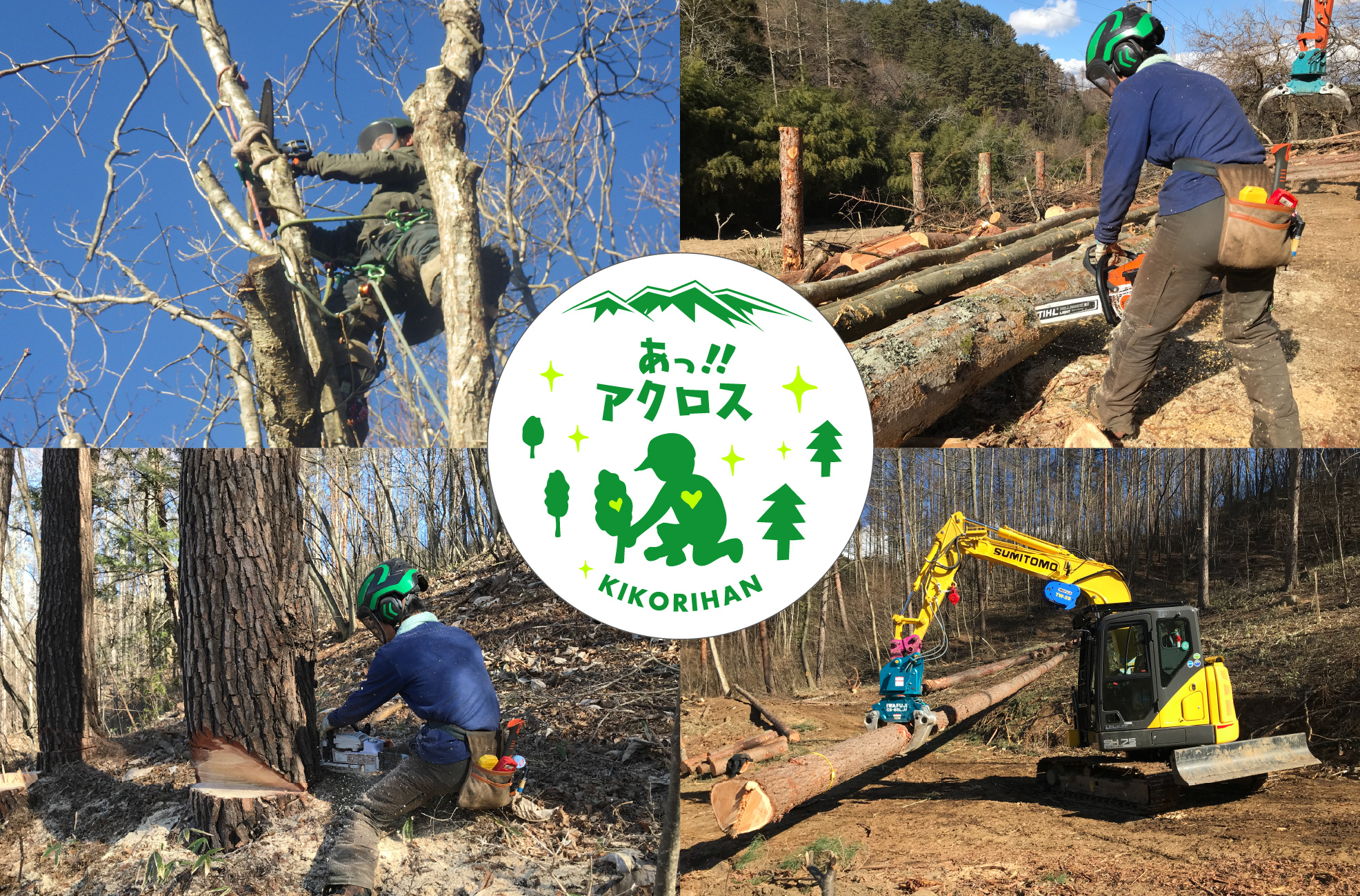 伐採・造林作業員募集!