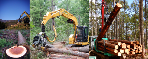 林業の将来を担う森林作業員の募集