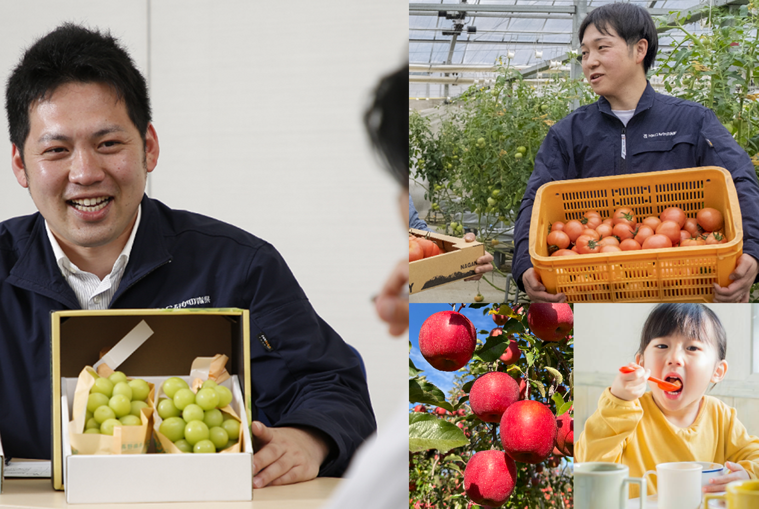 【営業職】野菜・果物の仕入＆販売業務／仕入～販売まで一貫してお任せ！仕入先・販...